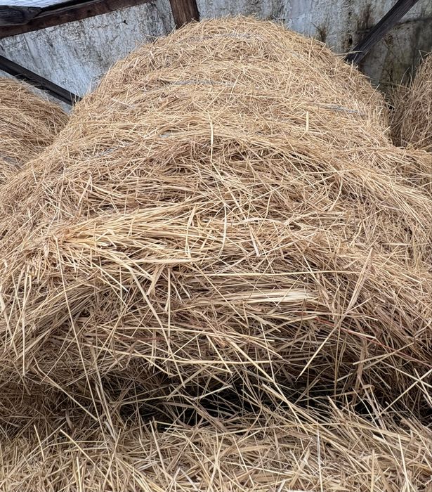 Baloți fân de vânzare