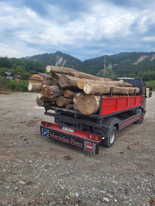 Lemn de foc fag bustean