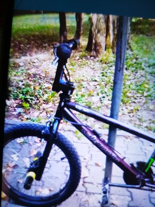 BMX Dragon fly performance