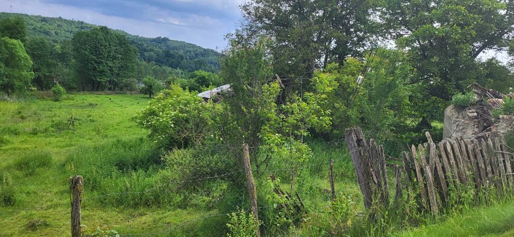 Vand patru loturi teren intravilan Bughea de Jos, Argeș, total 8509 mp