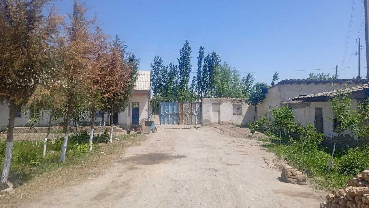 Uchqorgon tumanida Molxona bino va inshootlari sotiladi