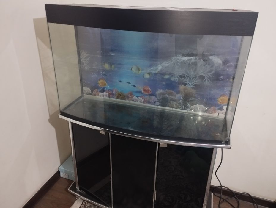 Akvarium patstavkasi bilan