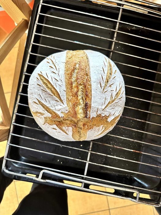 Pâine artizanală & focaccia proaspătă – făcută în casă