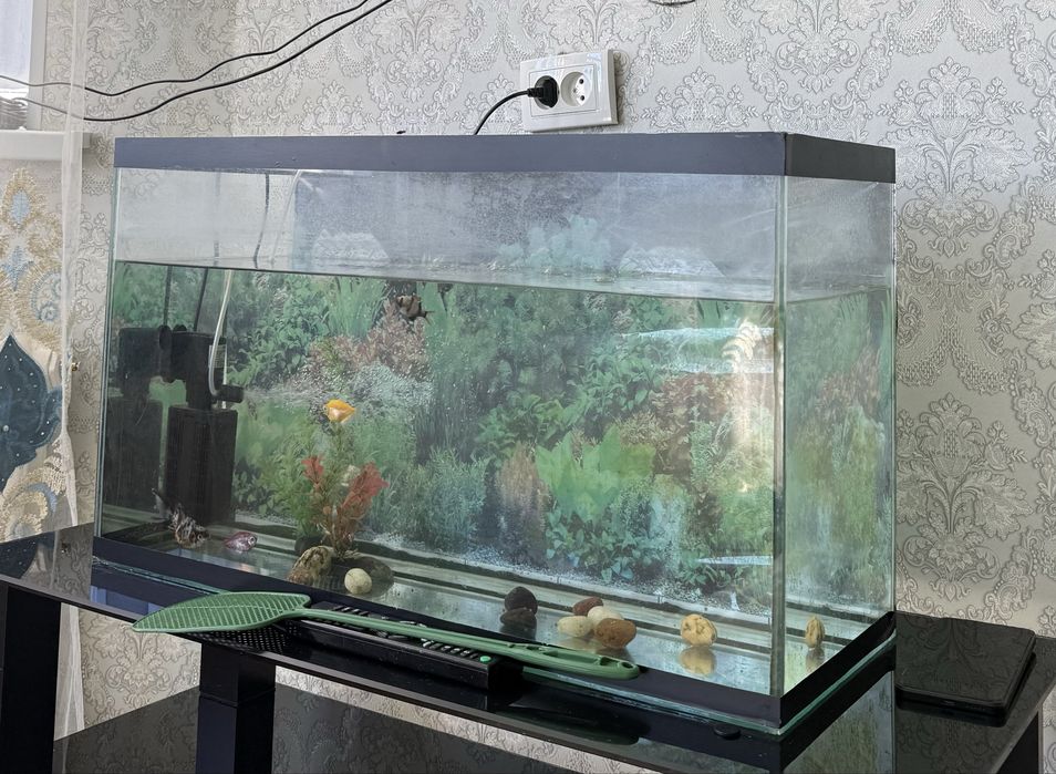 Аквариум сатылады