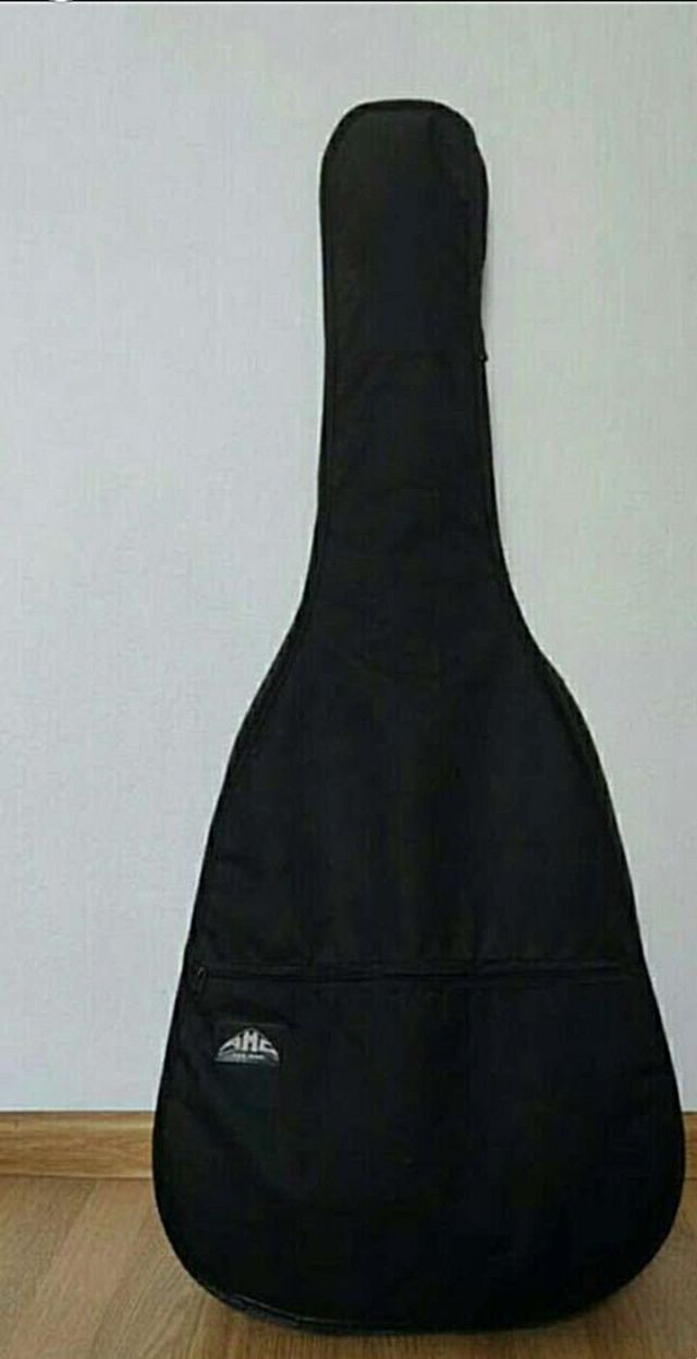 12ти струнная акустическая гитара Martinez.