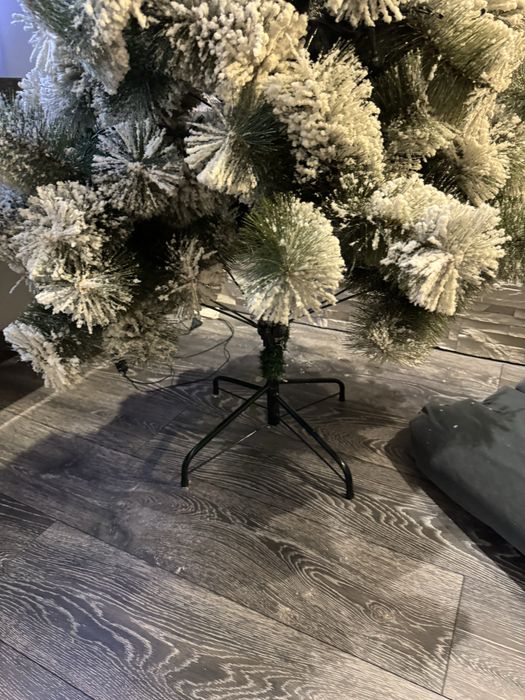 Елха 3 Д заскрежена