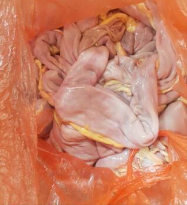 Кишки конские на казы на шужк