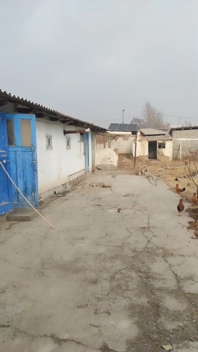 6sotix uydan 6 sotix boʻlib beriladi