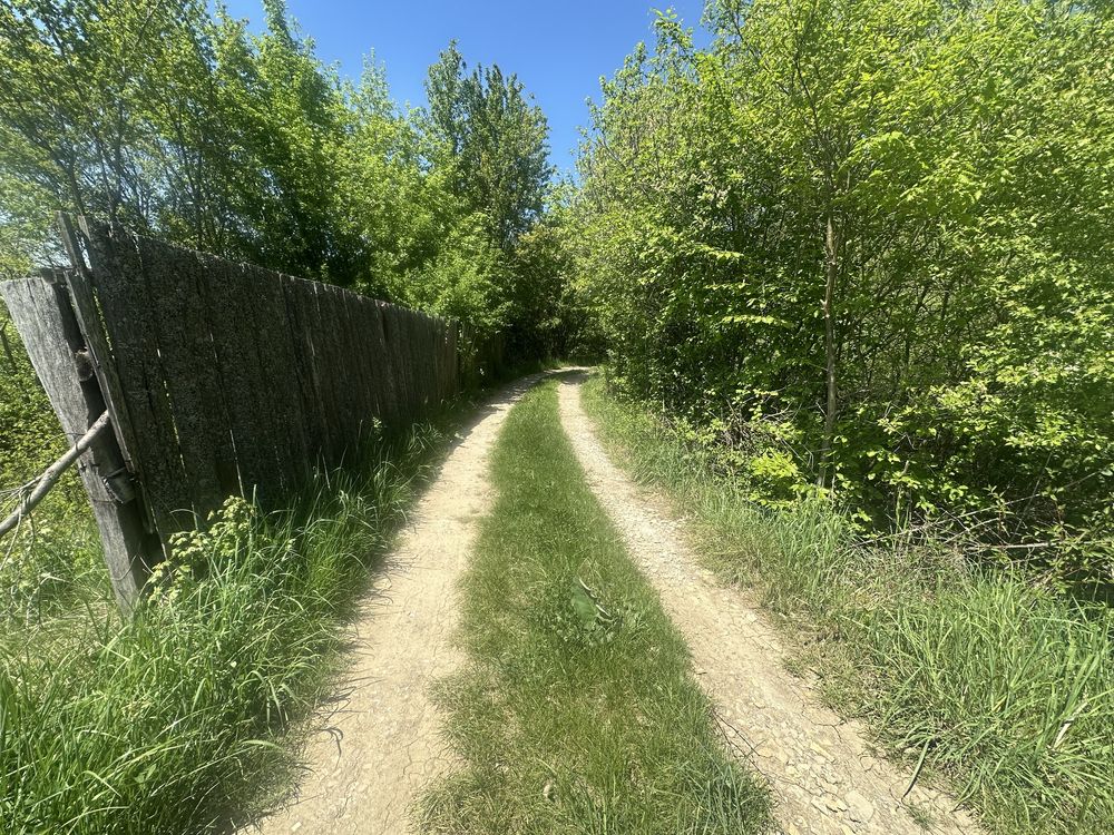 Vând teren extravilan 13 ari, Șchullerwald, La soare, Bistrița.