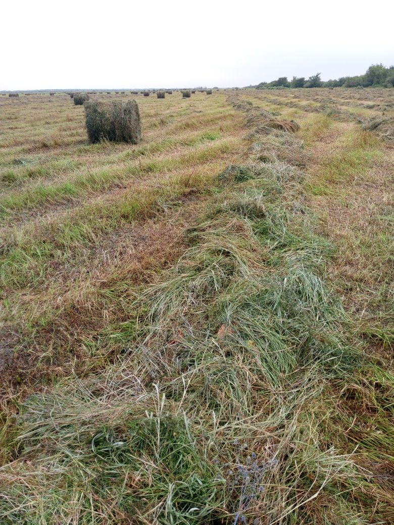 Сено в рулонах .  Есть Доставка..