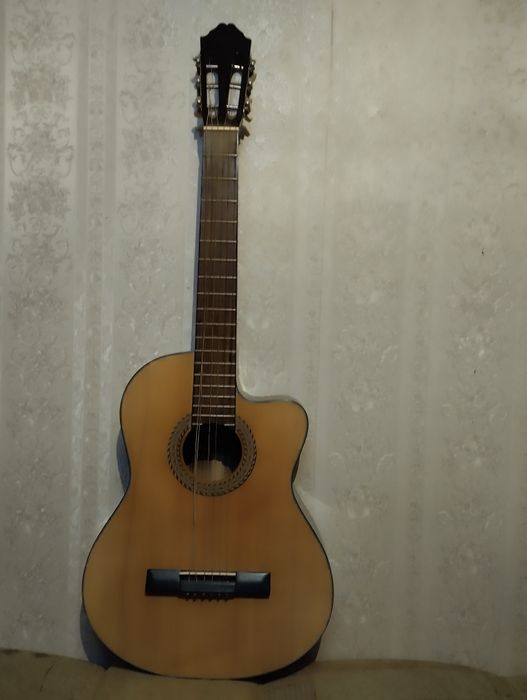 Гитара шести струнная.