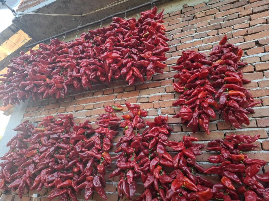 Сушени червени чушки – естествено изсушени