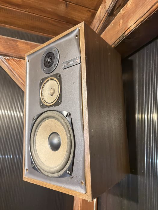 Boxe Magnat Sonobull