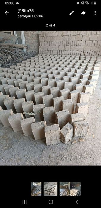 Хом гишт (дипломат )