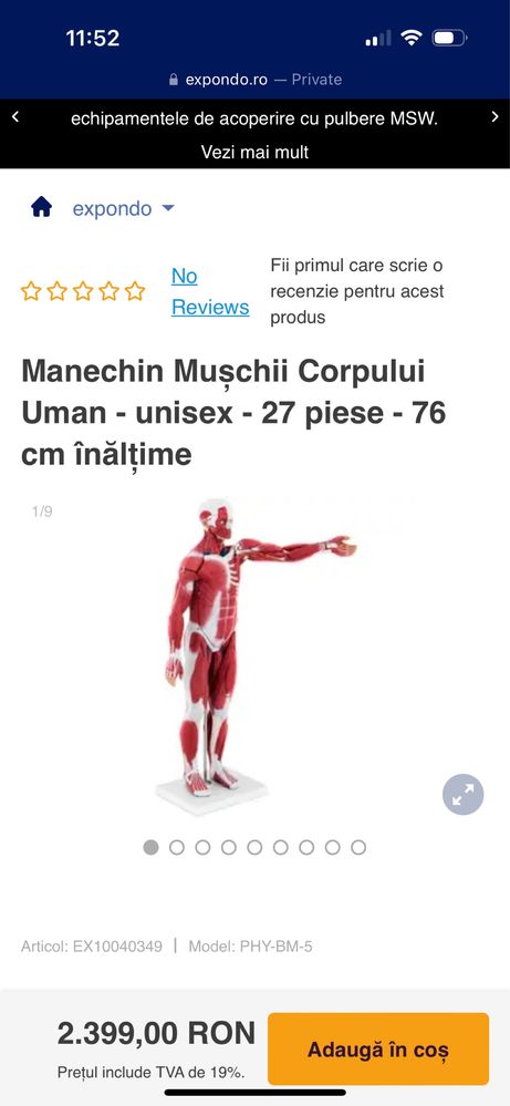 Model anatomie corpul uman