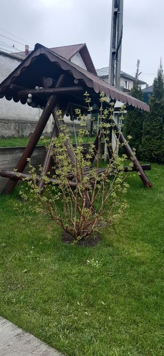 Vând casă falticeni