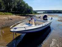Barcă Molinari cu Motor Evinrude 50 Hp