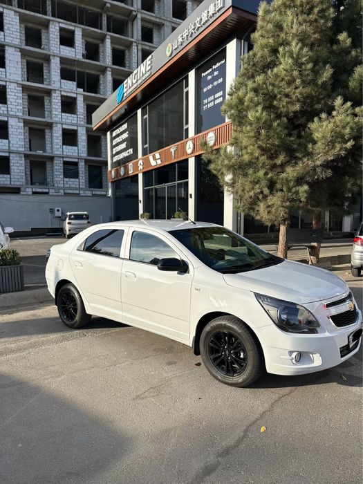 Cobalt Midnight 2025