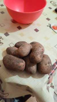 Картофель картофель