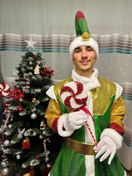 Mos Craciun, Spiridusi, Mascota Grinch