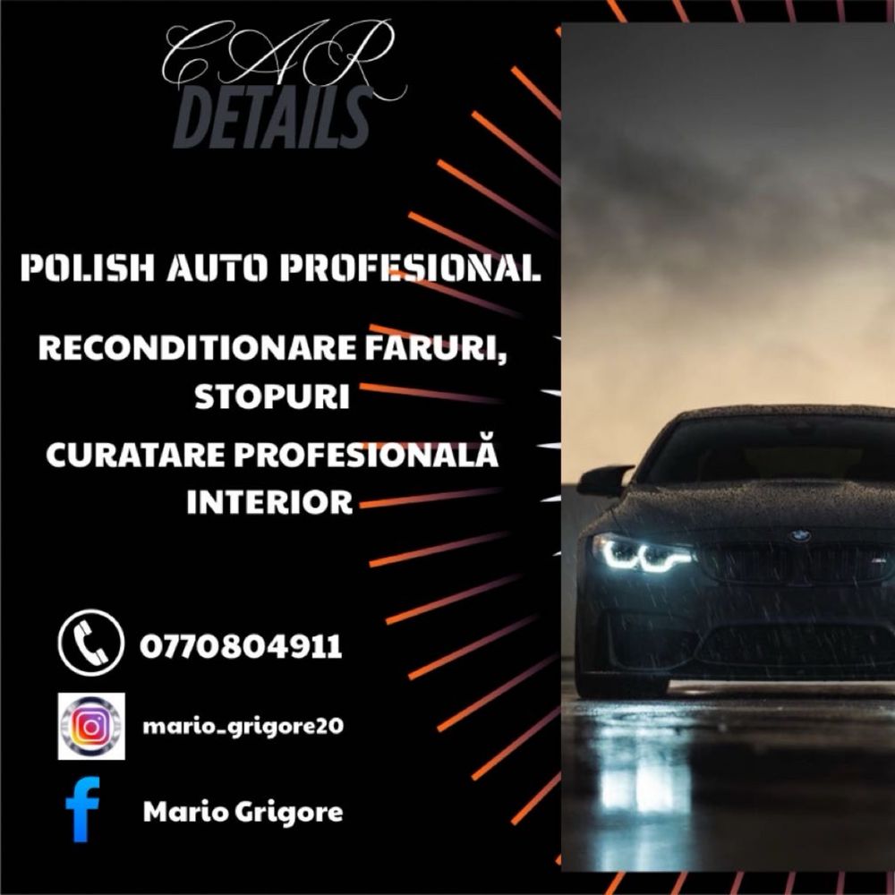 Polsih Profesional Detailing Auto