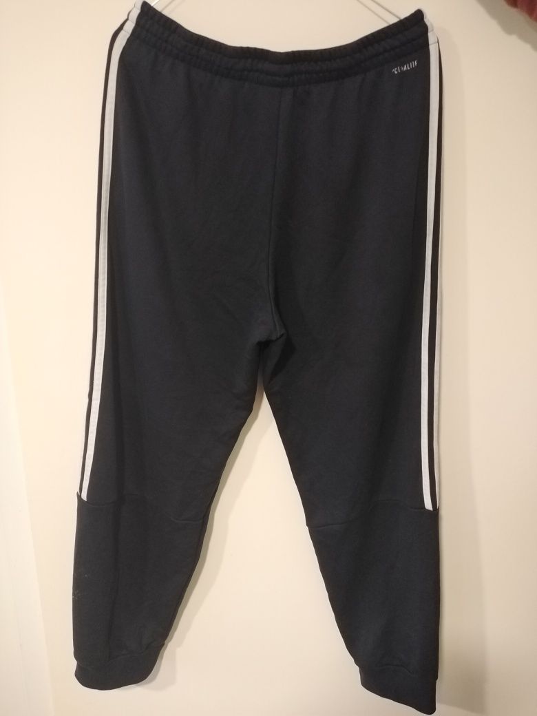 Pantaloni Adidas