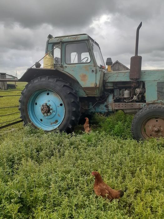 Трактор мтз 80 сельхозтехника