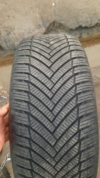 19 diska balon merslar uchun