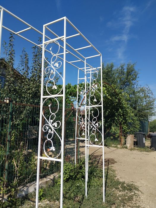 Arcade pergole pt trandafiri si evenimente