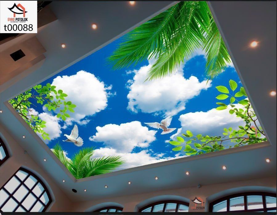 натяжной паталок фото обой хизмати