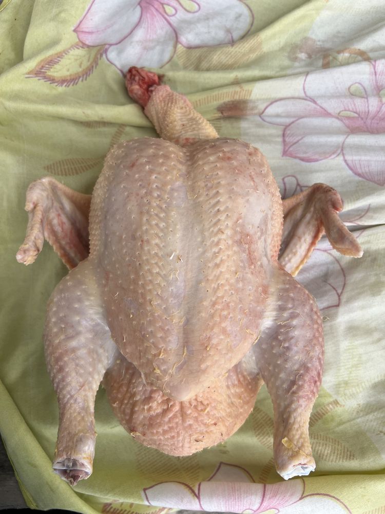 Мясо бройлеров свежее
