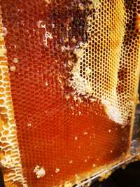 Мед горный, разнотравие, 100 % натуральный ГАРАНТИЯ КАЧЕСТВА, цена/кг