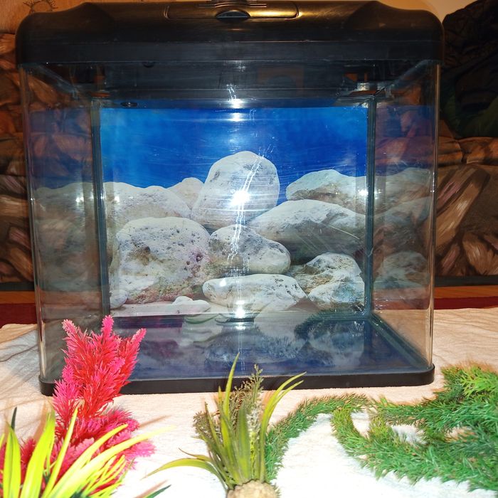 Аквариум 60л+цялостно обурудване
