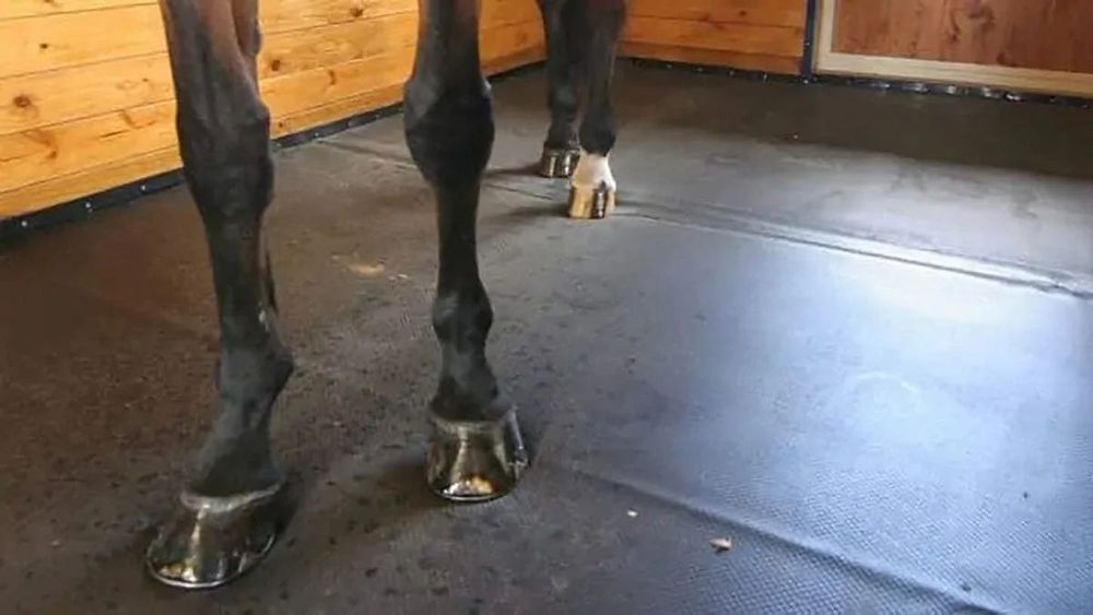 Vand Banda de cauciuc pentru animale si balastiere cel mai bun pret