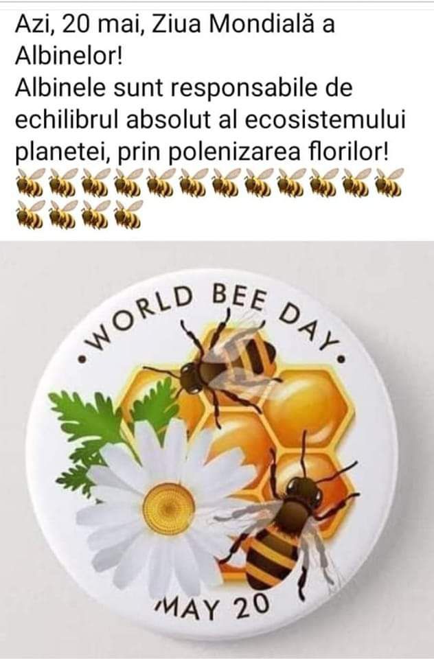 Miere de albine rapiță 2023
