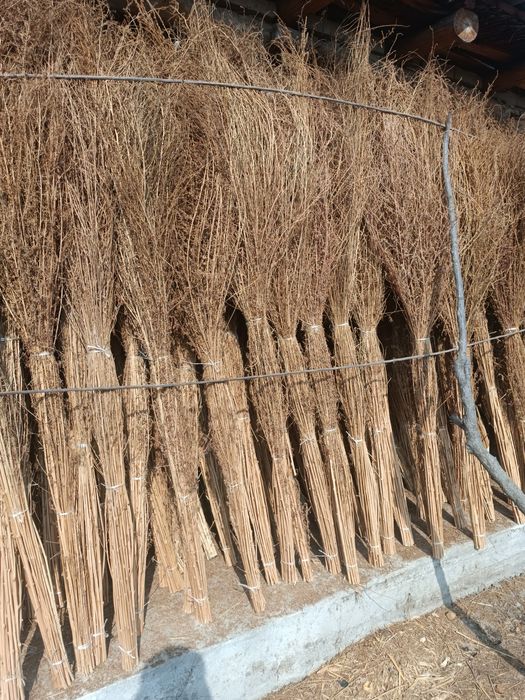 Katta ko'cha supurgi, shipirgi