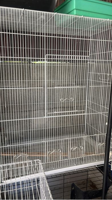 Большая клетка новая