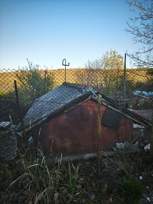 Продавам лозе с постройка