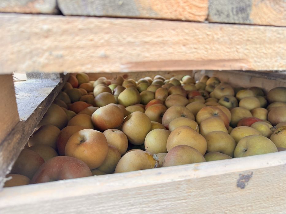 Vand mere calitatea 1