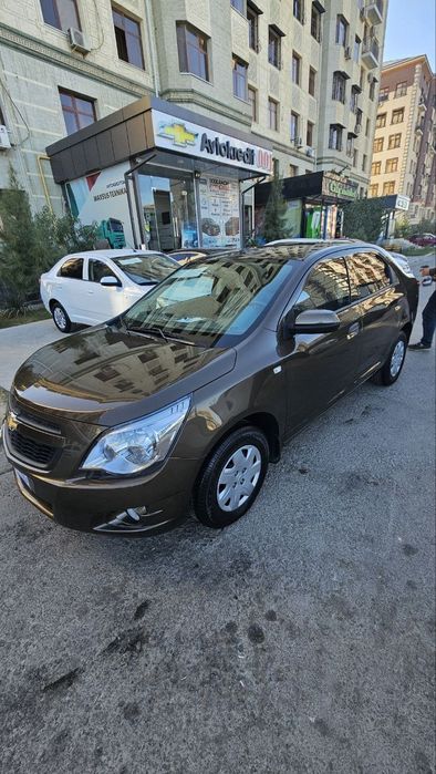 Cobalt mexanika 2023 zeus