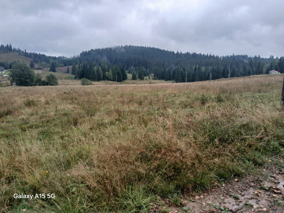 Teren intravilan