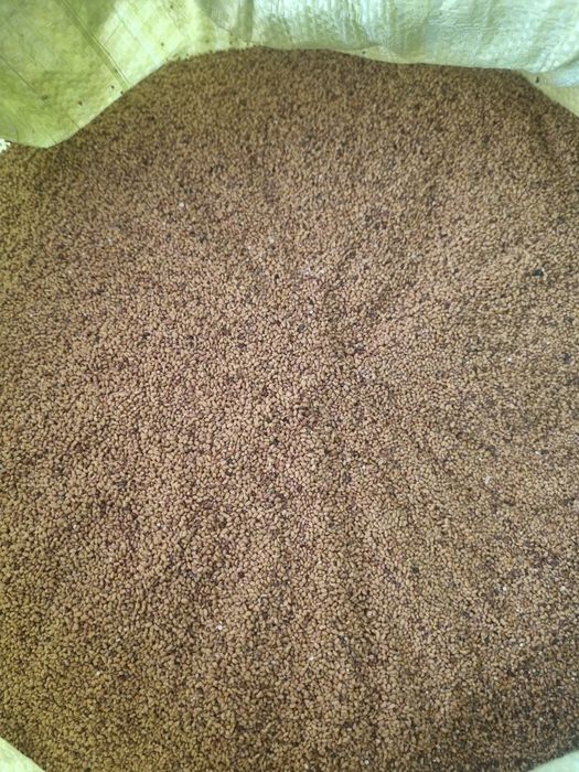 Беда уруг сотилади