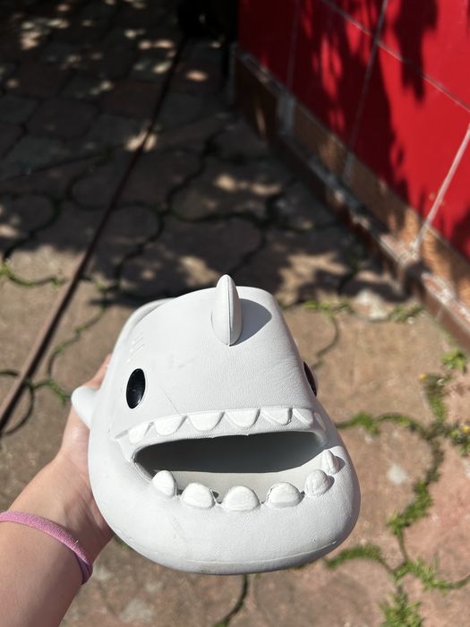 Sharkiez slapi adolescenti