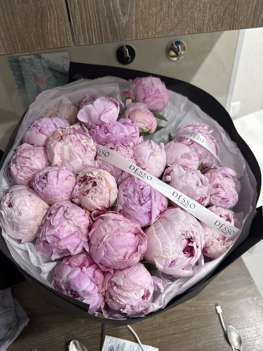 Цветы Пионы свежие 25 бутонов