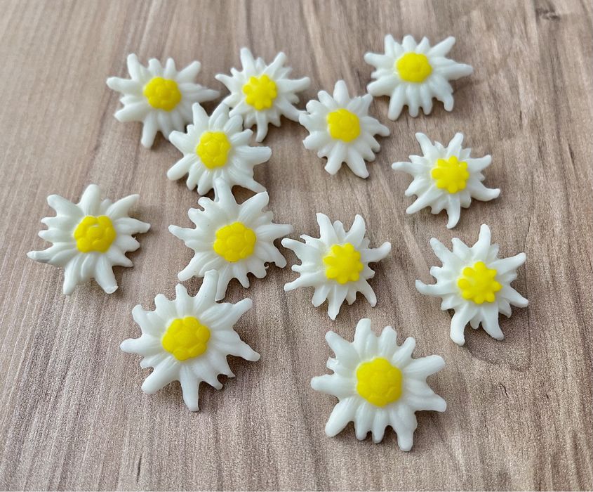 Brose flori de colt Edelweiss