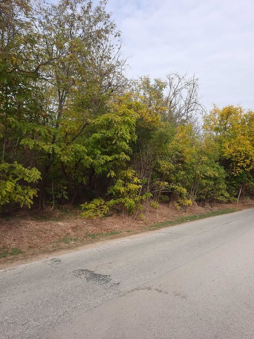 Земеделски имот в град  Плевен