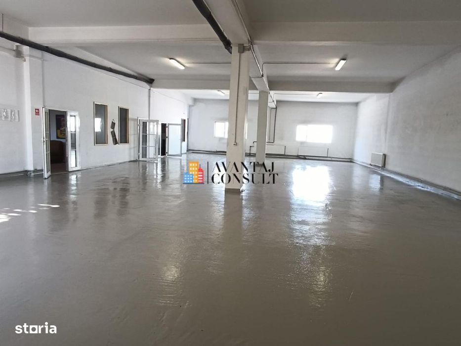 Jilava hala 550mp pret 1650 E/mp