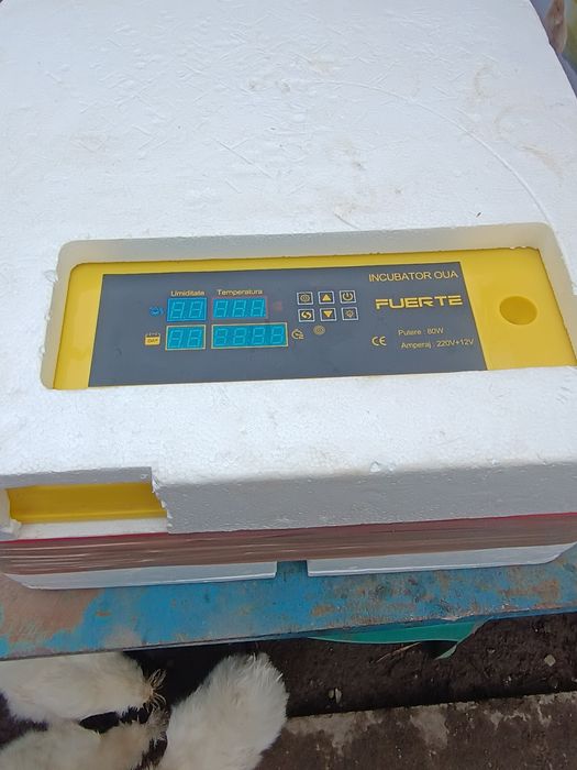 Incubator automat 48 oua 12v