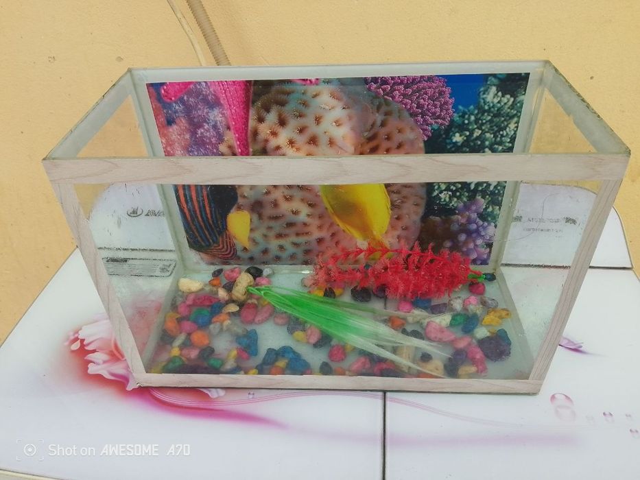 Аквариум сотилади