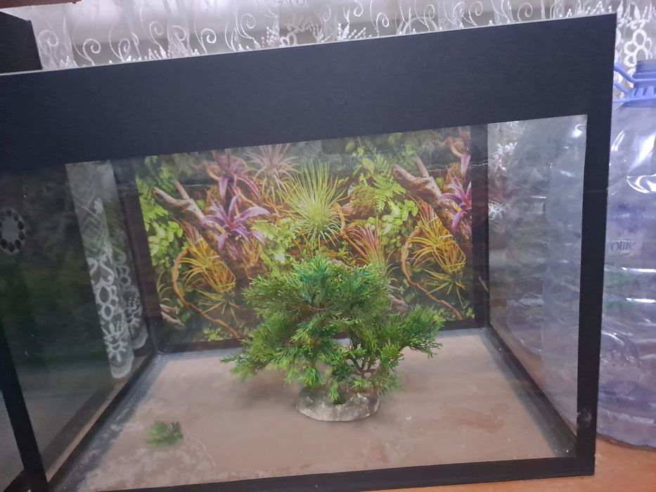 Akvarium baliq parvarishlash uchun
